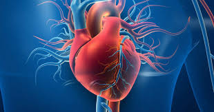 2027 Cardiovascular Disease State of the Art Banner