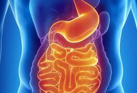 2027 Current Topics in Gastroenterology and Hepatology Banner