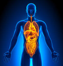 2026 Topics in Internal Medicine Banner